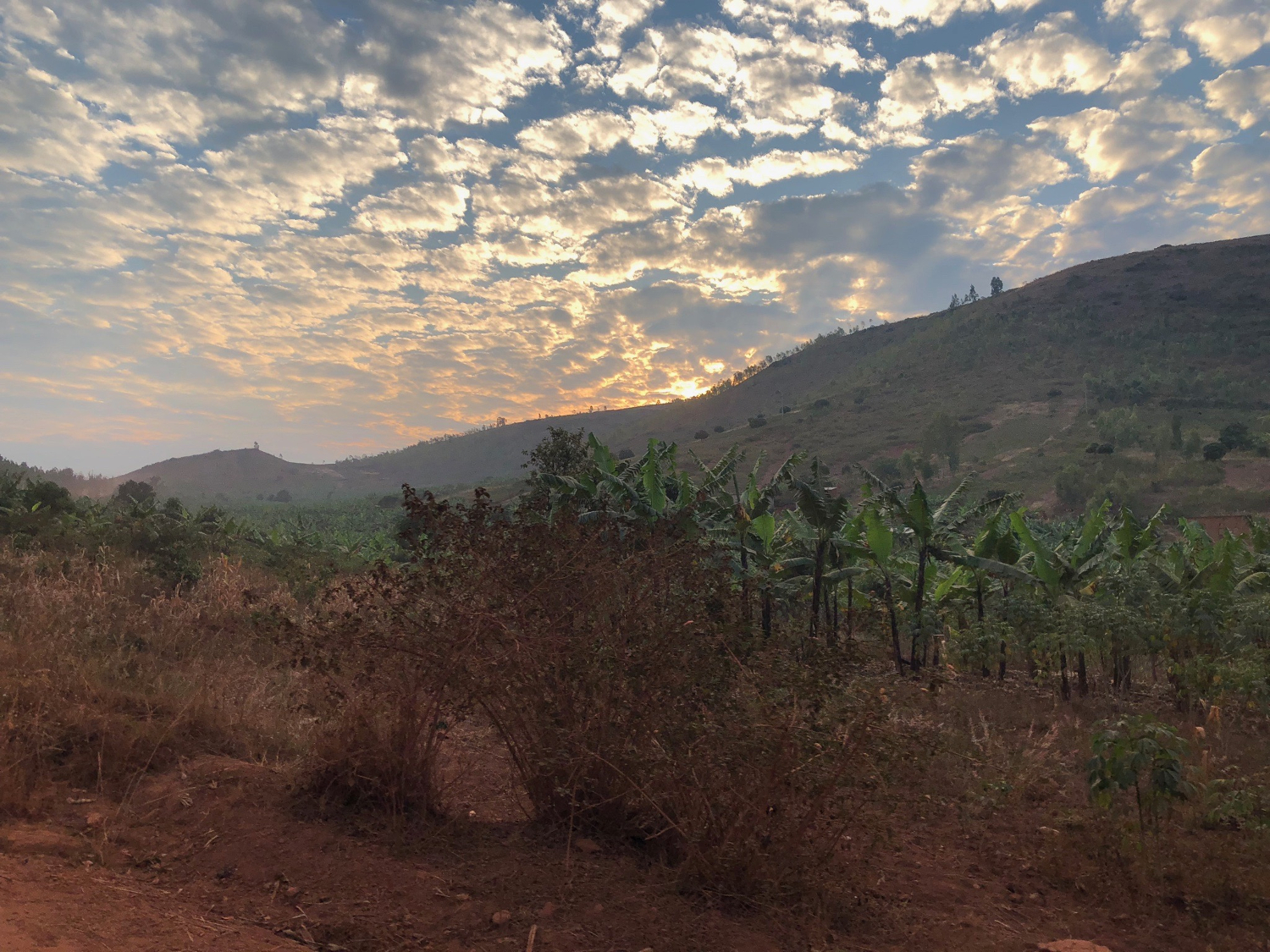 Akagera National Park